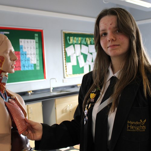 Slide background Mobile